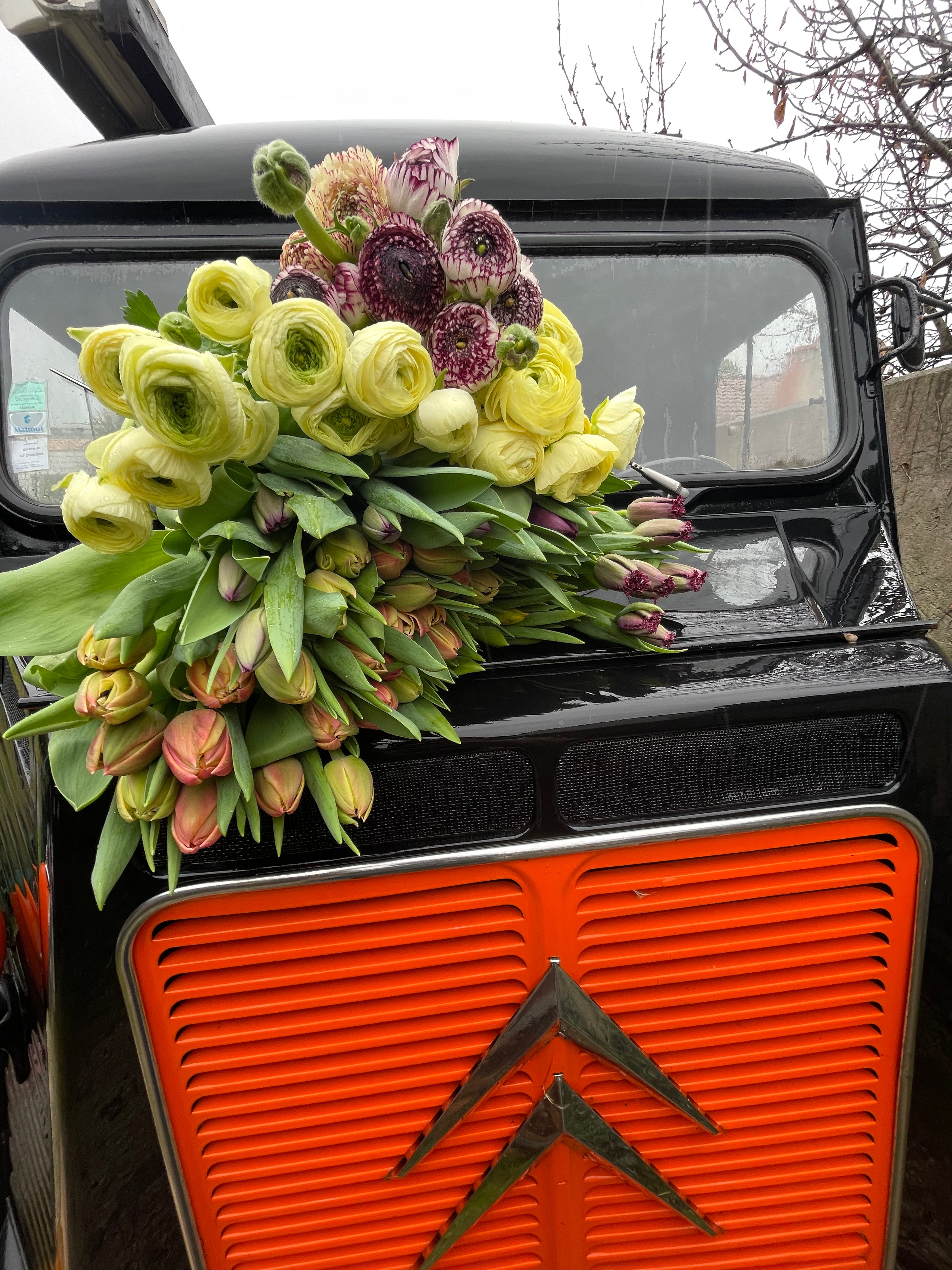 Abonnement floral – 1 bouquet par mois